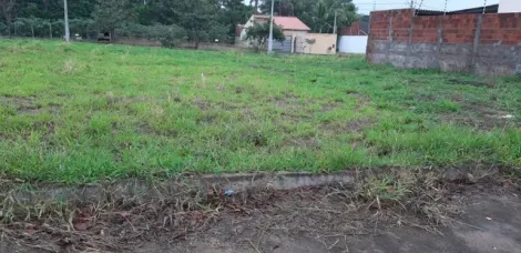 Comprar Terreno / Padr&atilde;o em S&atilde;o Jos&eacute; do Rio Preto R$ 110.000,00 - Foto 2