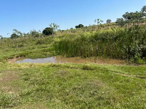 Rural / S&iacute;tio em Santa F&eacute; do Sul 