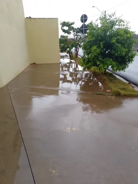 Comercial / Sal&atilde;o em S&atilde;o Jos&eacute; do Rio Preto 