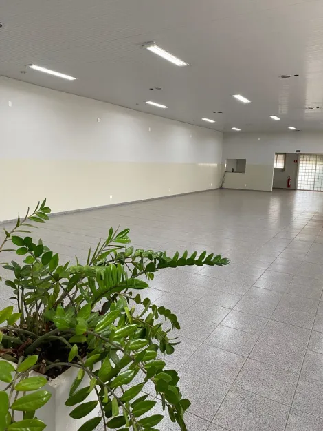 Alugar Comercial / Sal&atilde;o em S&atilde;o Jos&eacute; do Rio Preto R$ 7.500,00 - Foto 12