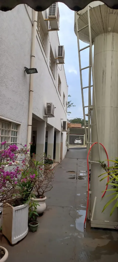 Comercial / Sal&atilde;o em S&atilde;o Jos&eacute; do Rio Preto 