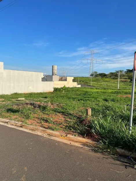 Comprar Terreno / Padr&atilde;o em Bady Bassitt R$ 75.000,00 - Foto 6