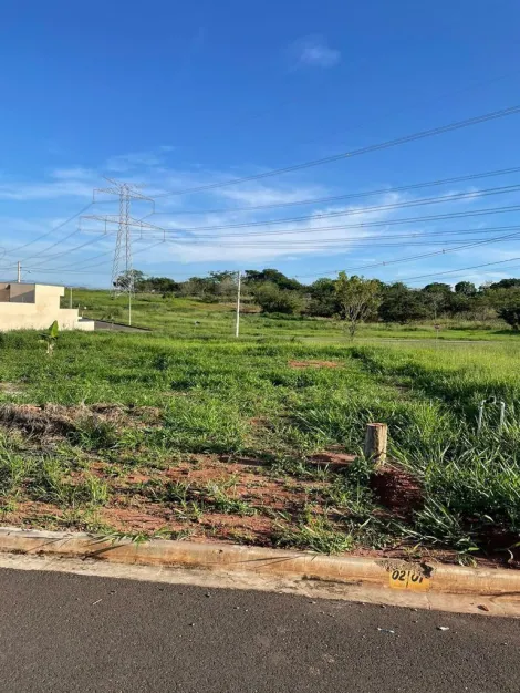Comprar Terreno / Padr&atilde;o em Bady Bassitt R$ 75.000,00 - Foto 3