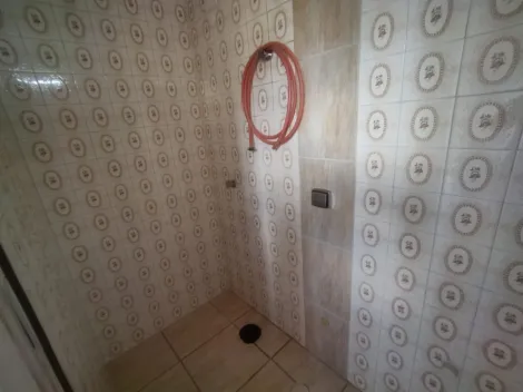 Alugar Apartamento / Padr&atilde;o em S&atilde;o Jos&eacute; do Rio Preto R$ 850,00 - Foto 13