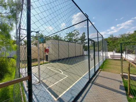 Alugar Apartamento / Padr&atilde;o em S&atilde;o Jos&eacute; do Rio Preto R$ 774,00 - Foto 11