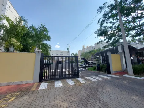 Alugar Apartamento / Padr&atilde;o em S&atilde;o Jos&eacute; do Rio Preto R$ 774,00 - Foto 14