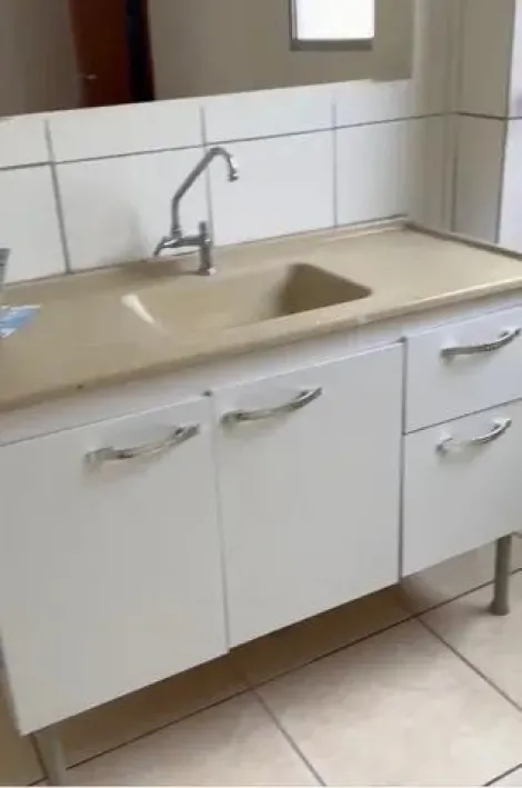 Alugar Apartamento / Padr&atilde;o em S&atilde;o Jos&eacute; do Rio Preto R$ 850,00 - Foto 3