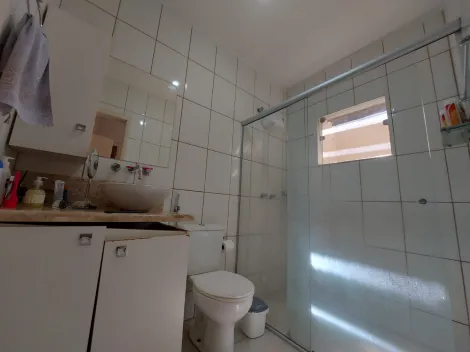 Alugar Casa / Padr&atilde;o em S&atilde;o Jos&eacute; do Rio Preto R$ 2.500,00 - Foto 15