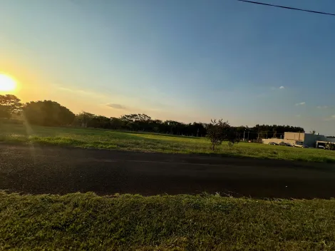 Comprar Terreno / Condom&iacute;nio em S&atilde;o Jos&eacute; do Rio Preto R$ 800.000,00 - Foto 14