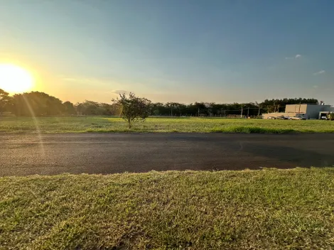 Comprar Terreno / Condom&iacute;nio em S&atilde;o Jos&eacute; do Rio Preto R$ 800.000,00 - Foto 15