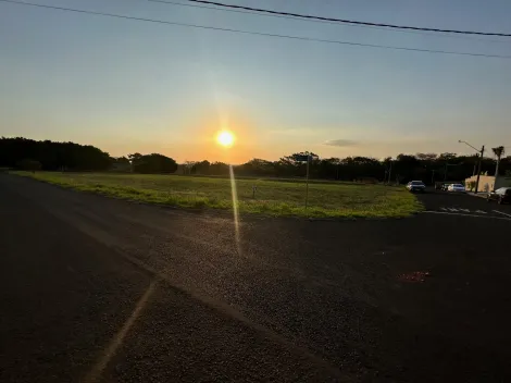 Comprar Terreno / Condom&iacute;nio em S&atilde;o Jos&eacute; do Rio Preto R$ 800.000,00 - Foto 8