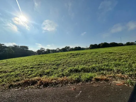 Comprar Terreno / Condom&iacute;nio em S&atilde;o Jos&eacute; do Rio Preto R$ 800.000,00 - Foto 29