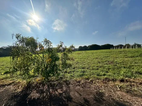 Comprar Terreno / Condom&iacute;nio em S&atilde;o Jos&eacute; do Rio Preto R$ 800.000,00 - Foto 32