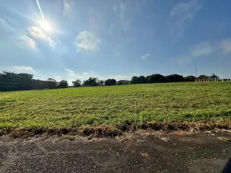Comprar Terreno / Condom&iacute;nio em S&atilde;o Jos&eacute; do Rio Preto R$ 800.000,00 - Foto 33