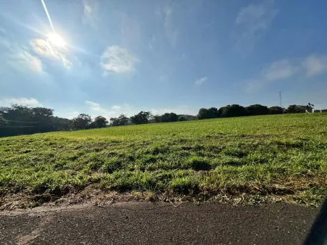 Comprar Terreno / Condom&iacute;nio em S&atilde;o Jos&eacute; do Rio Preto R$ 800.000,00 - Foto 34