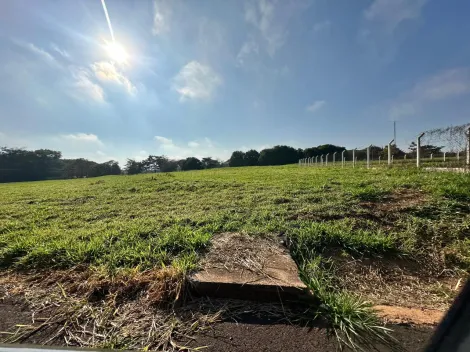 Comprar Terreno / Condom&iacute;nio em S&atilde;o Jos&eacute; do Rio Preto R$ 800.000,00 - Foto 35
