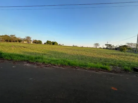 Comprar Terreno / Condom&iacute;nio em S&atilde;o Jos&eacute; do Rio Preto R$ 800.000,00 - Foto 3