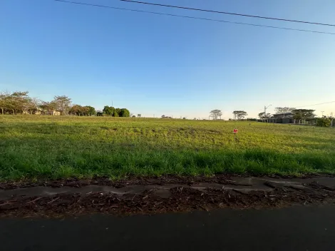 Comprar Terreno / Condom&iacute;nio em S&atilde;o Jos&eacute; do Rio Preto R$ 800.000,00 - Foto 19