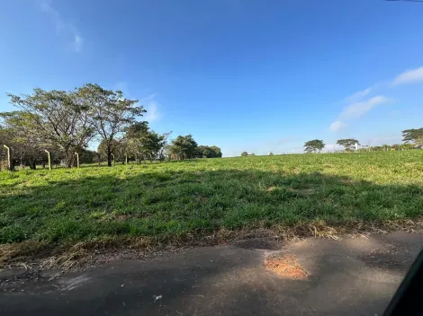 Comprar Terreno / Condom&iacute;nio em S&atilde;o Jos&eacute; do Rio Preto R$ 800.000,00 - Foto 12