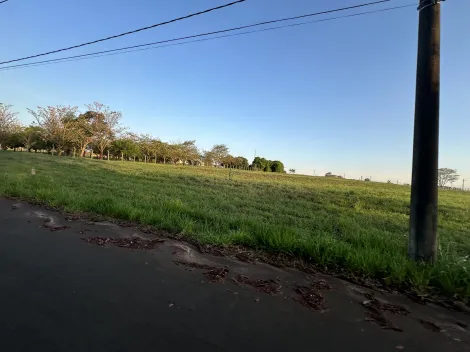 Terreno / Condom&iacute;nio em S&atilde;o Jos&eacute; do Rio Preto 