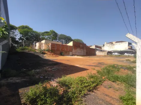 Alugar Terreno / Padr&atilde;o em S&atilde;o Jos&eacute; do Rio Preto R$ 3.000,00 - Foto 4