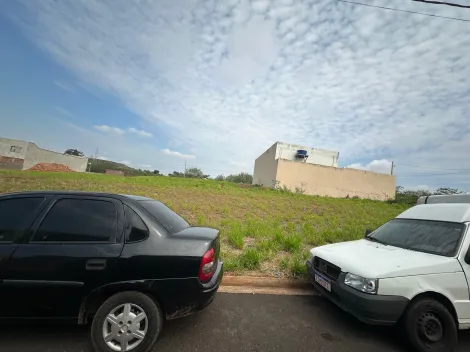Terreno / Padr&atilde;o em S&atilde;o Jos&eacute; do Rio Preto 