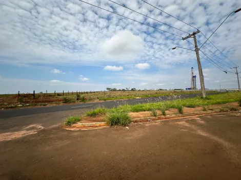 Comprar Terreno / &Aacute;rea em S&atilde;o Jos&eacute; do Rio Preto R$ 14.700.000,00 - Foto 2