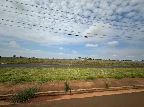 Comprar Terreno / &Aacute;rea em S&atilde;o Jos&eacute; do Rio Preto R$ 14.700.000,00 - Foto 4