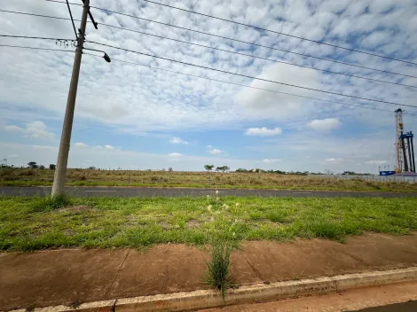 Comprar Terreno / &Aacute;rea em S&atilde;o Jos&eacute; do Rio Preto R$ 14.700.000,00 - Foto 5