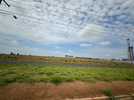 Comprar Terreno / &Aacute;rea em S&atilde;o Jos&eacute; do Rio Preto R$ 14.700.000,00 - Foto 6
