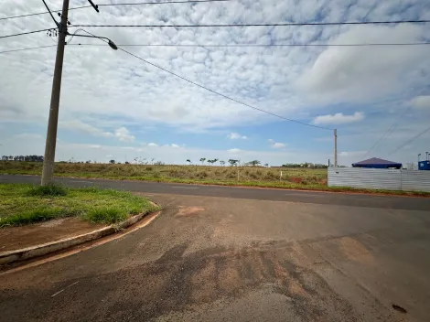 Comprar Terreno / &Aacute;rea em S&atilde;o Jos&eacute; do Rio Preto R$ 14.700.000,00 - Foto 7