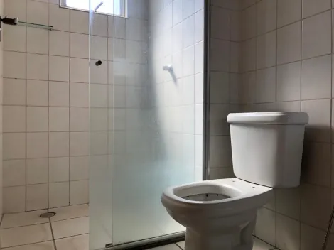 Alugar Apartamento / Padr&atilde;o em S&atilde;o Jos&eacute; do Rio Preto R$ 2.000,00 - Foto 14
