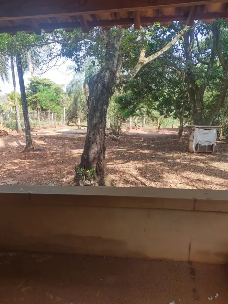 Rural / Ch&aacute;cara em S&atilde;o Jos&eacute; do Rio Preto 