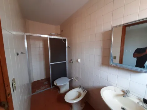 Alugar Apartamento / Padr&atilde;o em S&atilde;o Jos&eacute; do Rio Preto R$ 900,00 - Foto 4