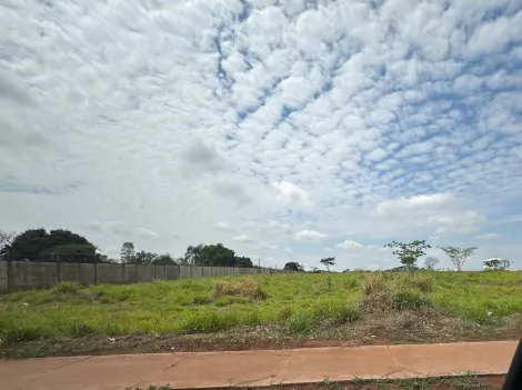 Comprar Terreno / &Aacute;rea em S&atilde;o Jos&eacute; do Rio Preto R$ 11.991.000,00 - Foto 9