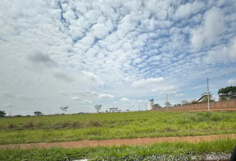 Comprar Terreno / &Aacute;rea em S&atilde;o Jos&eacute; do Rio Preto R$ 11.182.500,00 - Foto 3