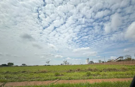 Comprar Terreno / &Aacute;rea em S&atilde;o Jos&eacute; do Rio Preto R$ 11.182.500,00 - Foto 4