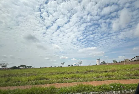 Comprar Terreno / &Aacute;rea em S&atilde;o Jos&eacute; do Rio Preto R$ 11.182.500,00 - Foto 5