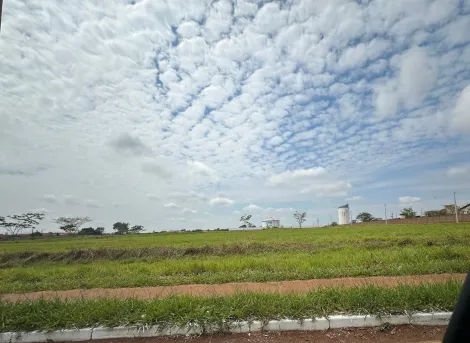 Comprar Terreno / &Aacute;rea em S&atilde;o Jos&eacute; do Rio Preto R$ 11.182.500,00 - Foto 6