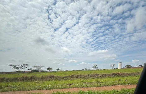 Comprar Terreno / &Aacute;rea em S&atilde;o Jos&eacute; do Rio Preto R$ 11.182.500,00 - Foto 7