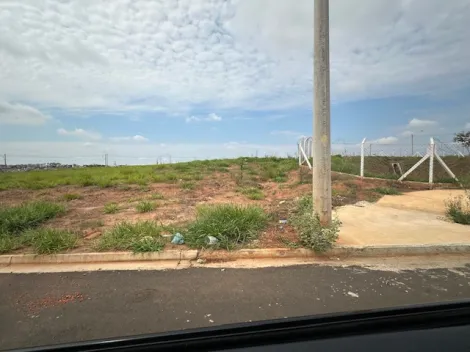 Comprar Terreno / &Aacute;rea em S&atilde;o Jos&eacute; do Rio Preto R$ 17.325.000,00 - Foto 58