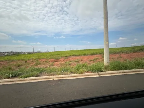 Comprar Terreno / &Aacute;rea em S&atilde;o Jos&eacute; do Rio Preto R$ 17.325.000,00 - Foto 5