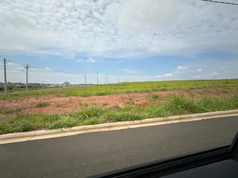 Comprar Terreno / &Aacute;rea em S&atilde;o Jos&eacute; do Rio Preto R$ 17.325.000,00 - Foto 7