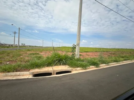 Comprar Terreno / &Aacute;rea em S&atilde;o Jos&eacute; do Rio Preto R$ 17.325.000,00 - Foto 8
