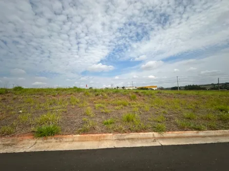 Comprar Terreno / &Aacute;rea em S&atilde;o Jos&eacute; do Rio Preto R$ 17.325.000,00 - Foto 10