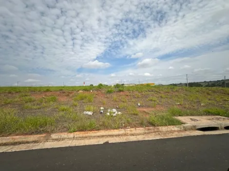 Comprar Terreno / &Aacute;rea em S&atilde;o Jos&eacute; do Rio Preto R$ 17.325.000,00 - Foto 11