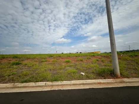 Comprar Terreno / &Aacute;rea em S&atilde;o Jos&eacute; do Rio Preto R$ 17.325.000,00 - Foto 12