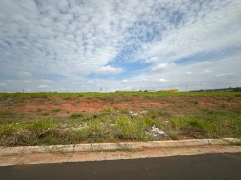 Comprar Terreno / &Aacute;rea em S&atilde;o Jos&eacute; do Rio Preto R$ 17.325.000,00 - Foto 14