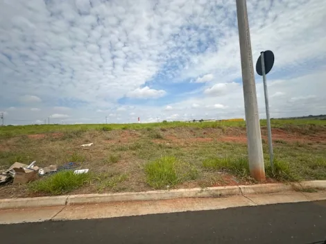 Comprar Terreno / &Aacute;rea em S&atilde;o Jos&eacute; do Rio Preto R$ 17.325.000,00 - Foto 15