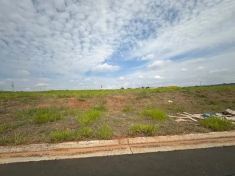 Comprar Terreno / &Aacute;rea em S&atilde;o Jos&eacute; do Rio Preto R$ 17.325.000,00 - Foto 16